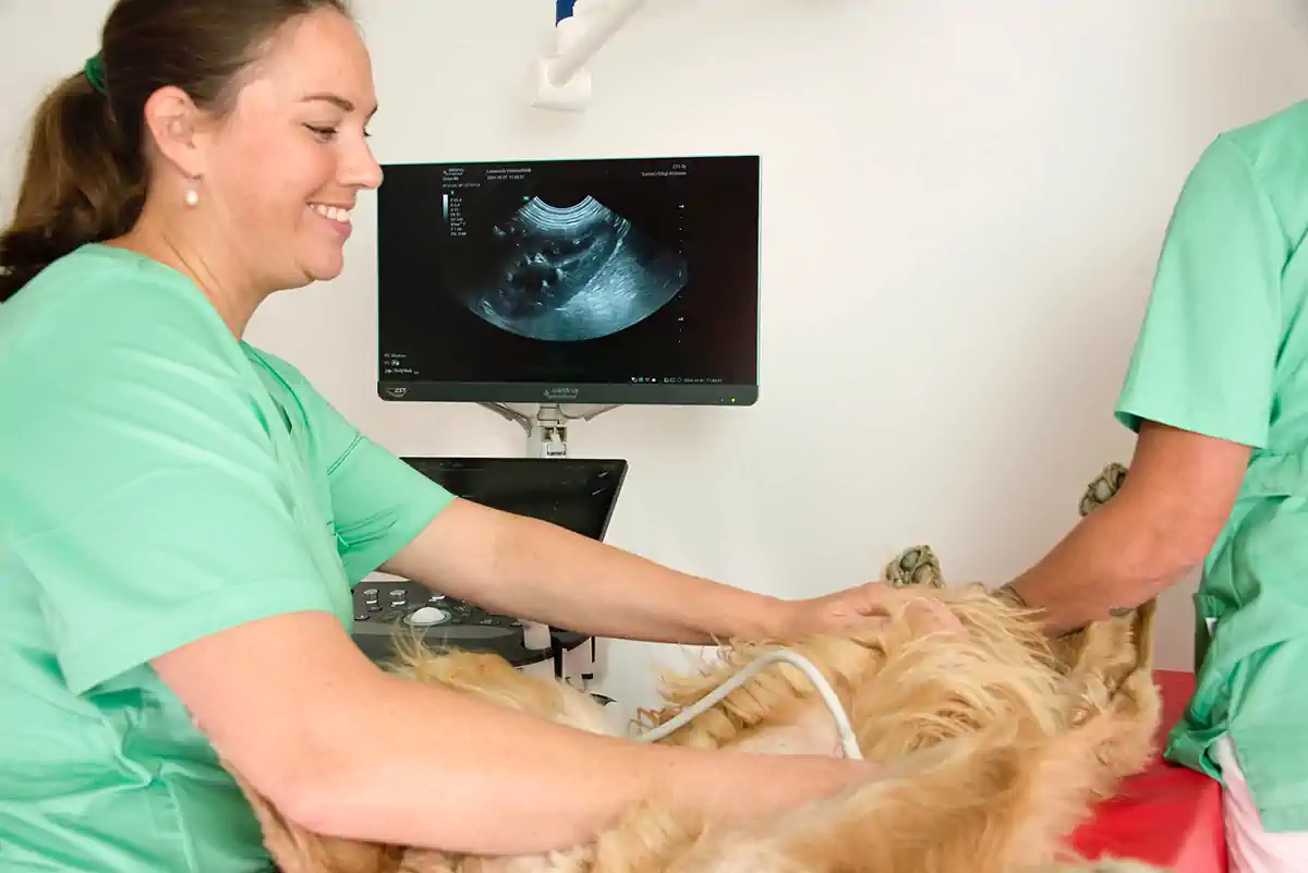 Klinikens lokaler – Lorensdals Veterinärklinik Vellinge