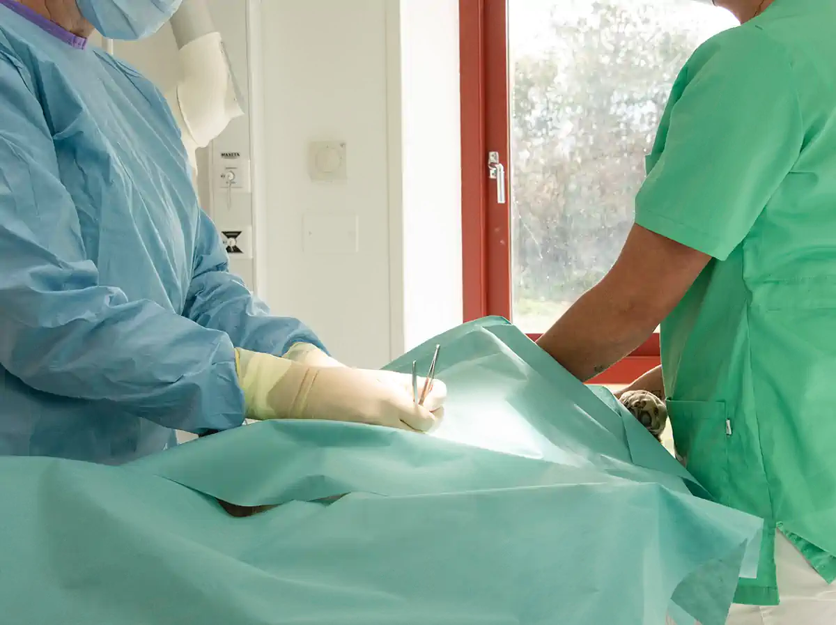Klinikbyggnad – Lorensdals Veterinärklinik Vellinge